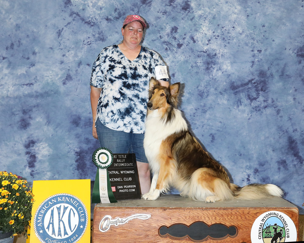 Akc obedience trials 2019 shop